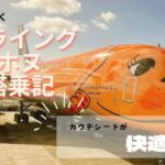 家族で楽しむハワイ旅行。ANAのA380はカウチシートが快適！FLIYNG-HONU搭乗記。